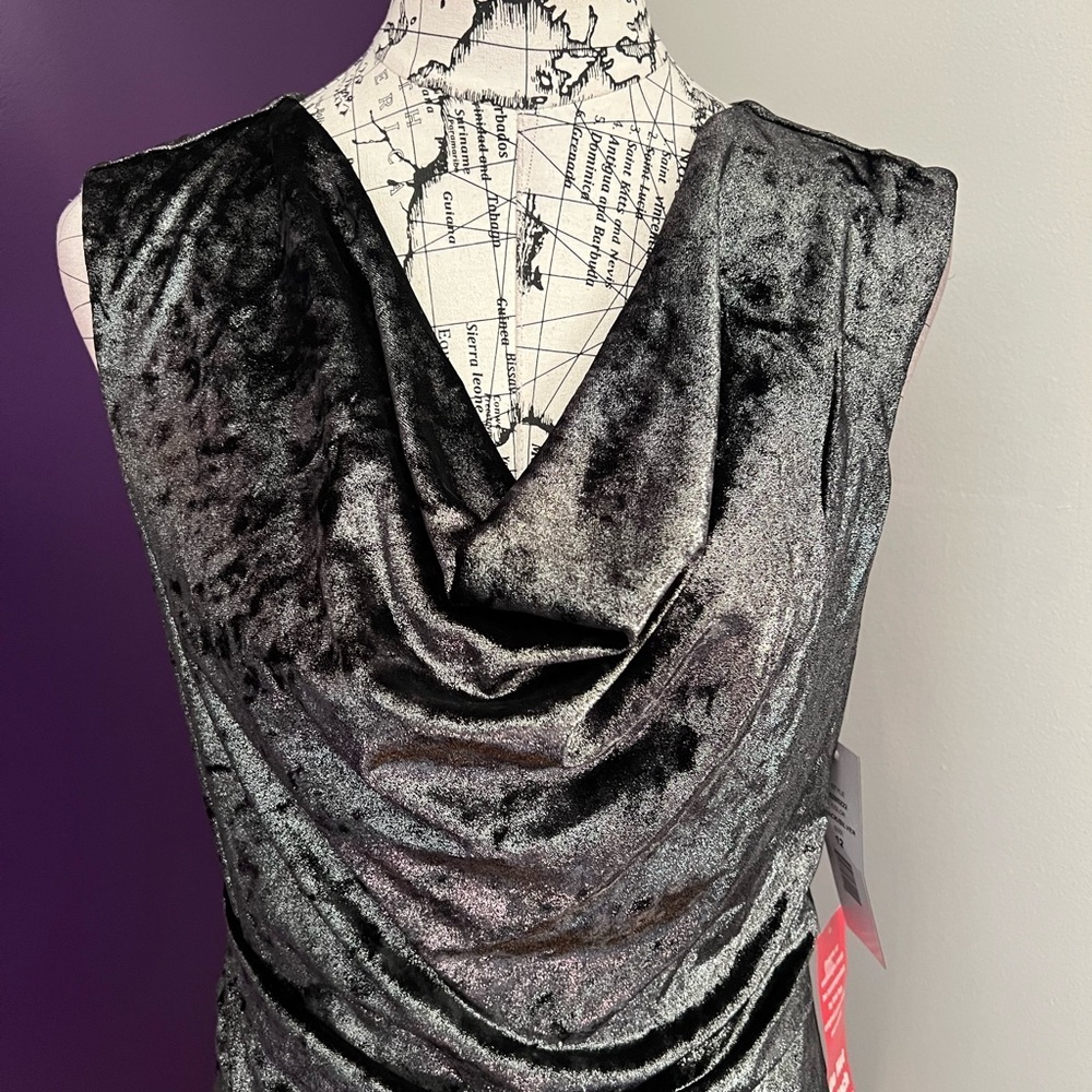 Scarlett Sleeveless Silver and Black Dress NWT - Picture 2 of 9